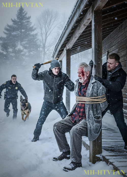 Thugs Beat an Old Veteran in Front of His Cabin — Until His Son, an Officer and His K9 Returned Home
