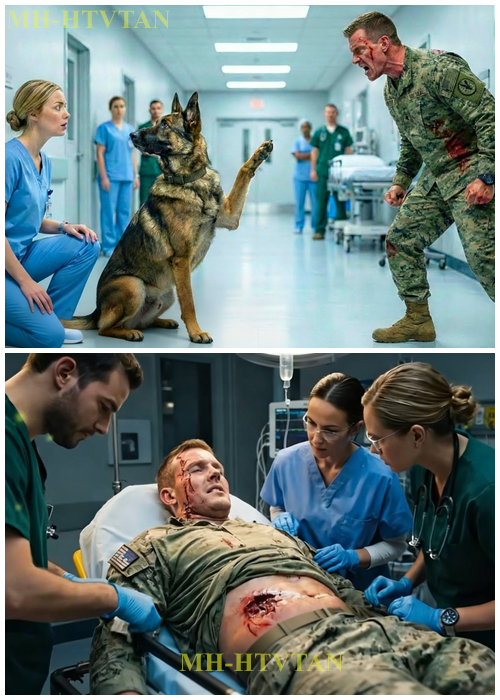 PART2: “Get Away From My K9!” the Wounded Navy SEAL Shouted — Until It Saluted the Rookie Nurse