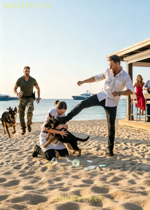 Wealthy Crowd Kicked a Waitress Shielding Her Puppy — Unaware a Navy SEAL Was Rushing In