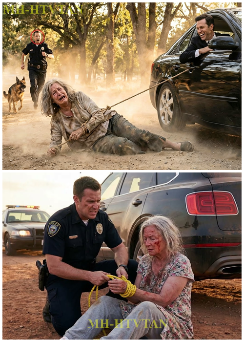 Grandma Cries, “I’m Not a Dog” — Then a Police Officer and His German Shepherd Freeze at Her Ankle