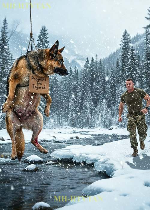 A Pregnant Dog Hung in a Blizzard — Until a Navy SEAL Stopped