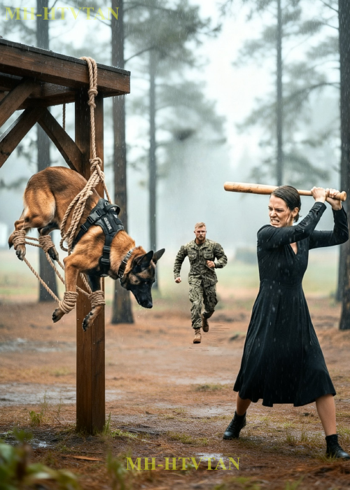 Evil Stepmother Tied and Beat a Belgian Malinois — Unaware a Navy SEAL Saw Everything