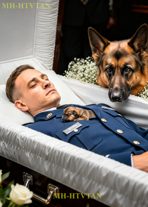 The Reason The Dog Kept Barking In Front Of The Coffin-A Miracle No One Could Have Imagined Happened