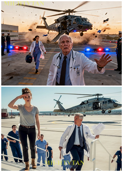 The Hospital Director Fired Her — Moments Later, a Navy Helicopter Landed on the Hospital Roof