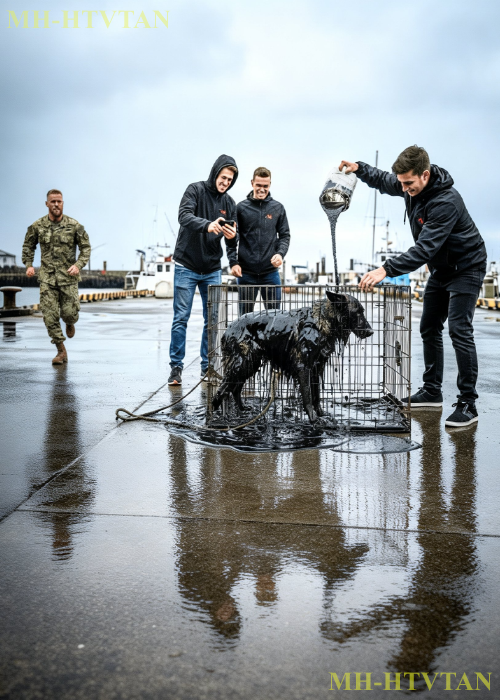 Rich Brats Tortured a Starving Dog — Unaware It Was a Navy SEAL’s Former Service K9!