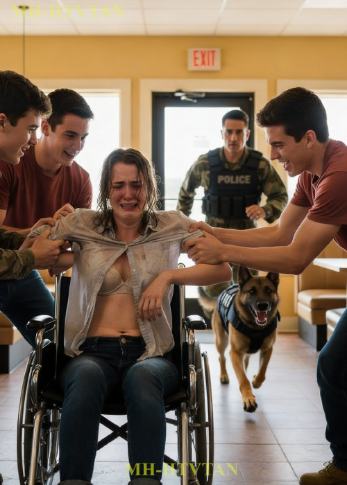 The bullies humiliated the poor, disabled girl in the diner—Until a Navy SEAL& K9 Changed Everything