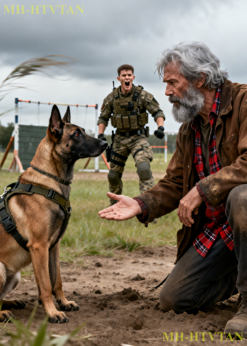 The Military K9 Obeyed No One — Until a Homeless Veteran Gave One Command