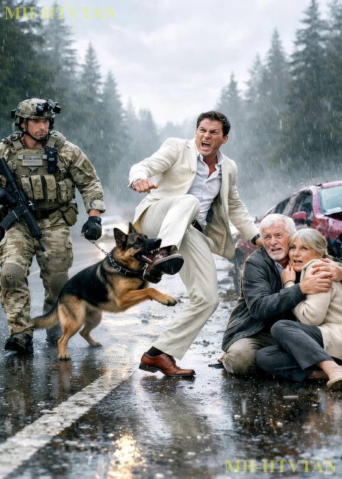 A Drunk Wealthy Driver Caused a Crash & Assaulted an Elderly Couple—Until a Navy SEAL& K9 Stepped In