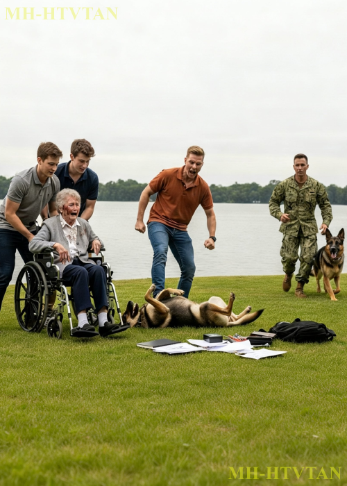Rich Kids Harassed an elderly Woman in Wheelchair and beat Her Dog – Until a Navy SEAL Stepped In