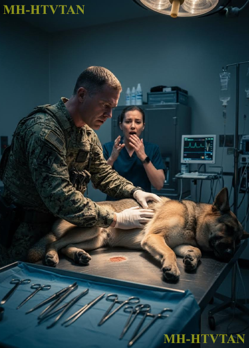 “He’s Gone—Stop!” She Cried, Until a Navy SEAL Used a Technique No One Expected in a Vet Clinic Now!