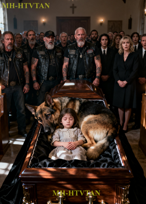 “PART2: The Dog Did Not Leave the Girl’s Coffin, Then the bikers Found Out the Shocking Truth!”