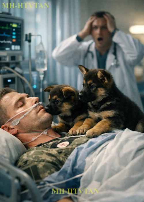 PART2: Two German Shepherd Puppies Sneak Into a Comatose Navy SEAL’s Room… and a Miracle Happens