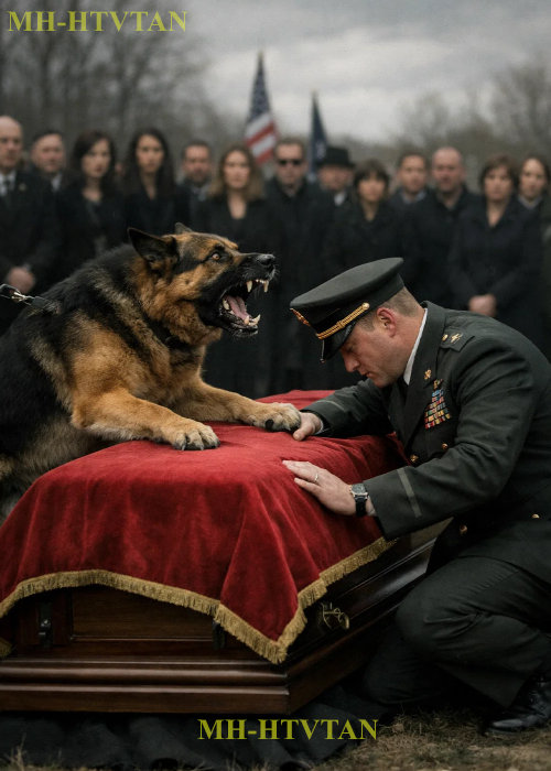 PART2: The Dog Kept Barking At The Police’s Coffin. They Opened The Coffin, And Something Unexpected