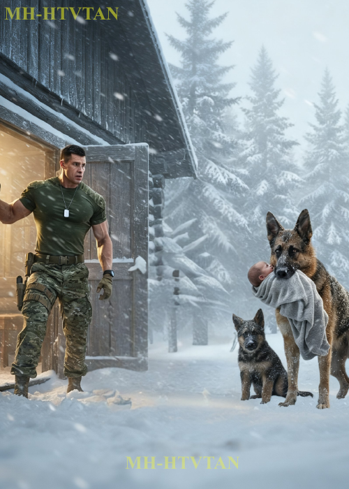 He Wanted Silence—Until a German Shepherd Brought Him a Child