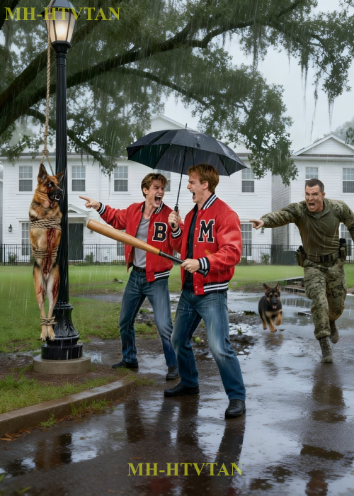 PART2: “Help My Mother!” A Puppy’s Cry Led a Navy SEAL Into the Rain — An Unthinkable Scene…