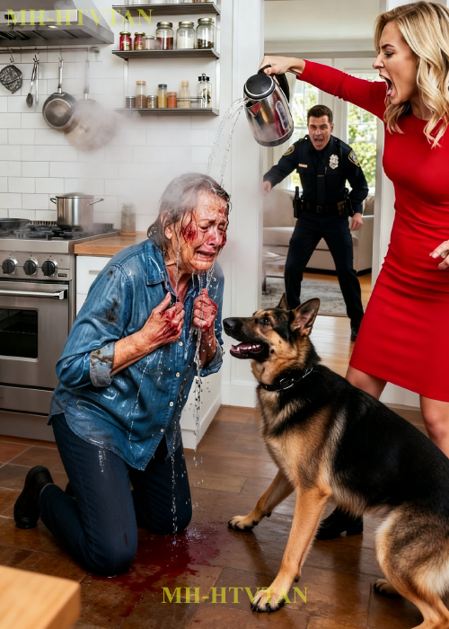 PART2: A German Shepherd Saves Mom from Daughter-in-Law’s Boiling Water — Then Her Police Son Walks In