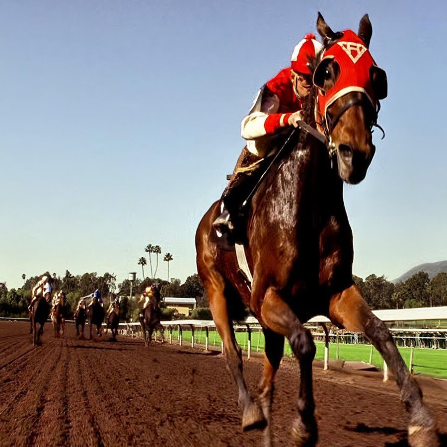 The True Story of Seabiscuit: How a Small, Broken Horse Became America’s Greatest Hope…