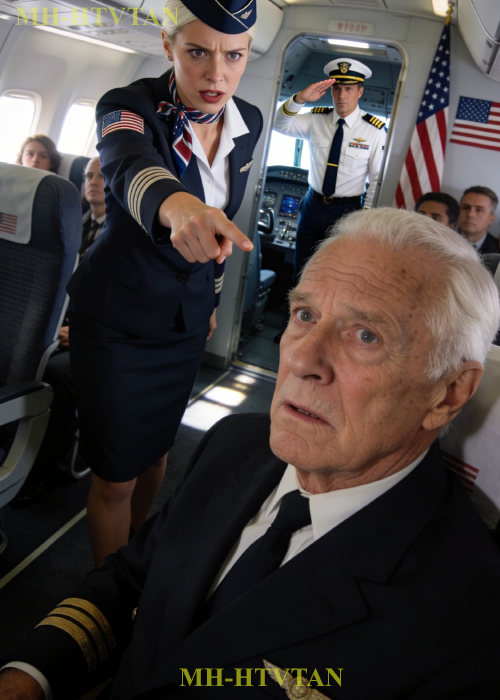 She Ordered the Old Man to Move—9 Minutes Later, the Pilot Stopped the Entire Flight and Saluted Him