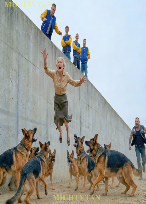 Bullies Pushed Old Lady To Hungry Dogs — Unaware The Whole Hells Angels Gang Was Watching