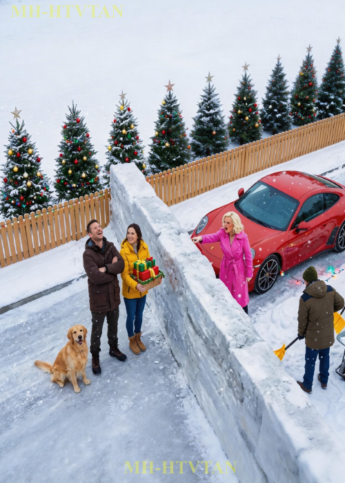 HOA Dumped Snow on My Property All Winter — So I Turned It Into a Wall Blocking Their Street