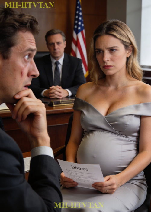 She Arrived for the Divorce — He Was Shocked When He Saw Her — She Was 7 Months Pregnant