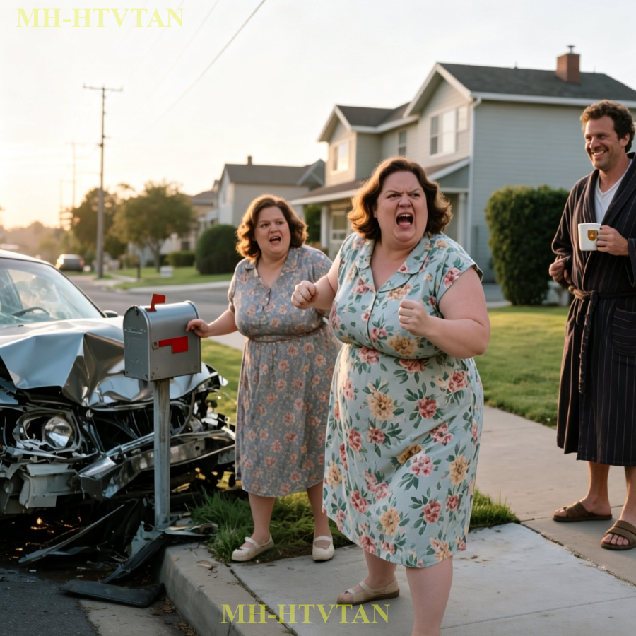 Karen Sisters Kept Running Over My Mailbox—So I Got a New One They Didn’t Expect